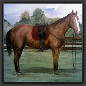 MARYANNES HORSE